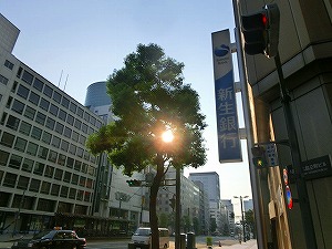 2013.8.11honndoori