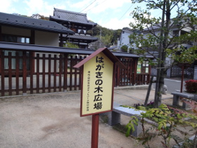④DSC00526