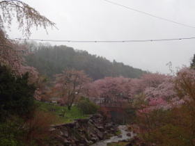 ④DSC00573
