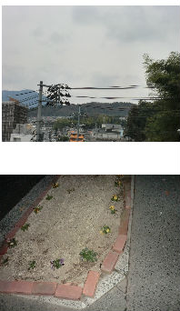 早朝清掃リポート ~気付いたら即実行~