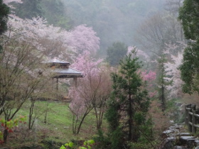 ⑤DSC00575