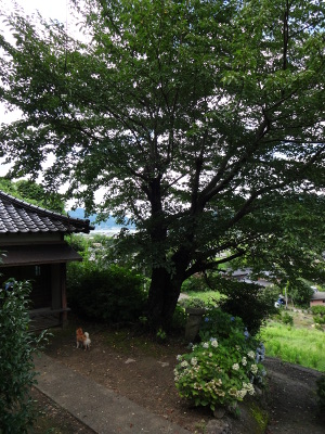 ④DSC00655