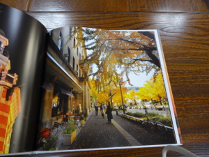 ③DSC00865