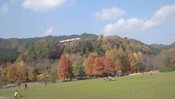 201011141315000_copy