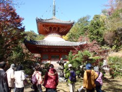 12・9写真②