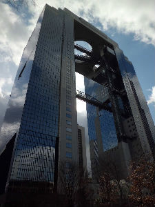 CIMG0398_copy