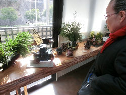 CIMG1170_copy